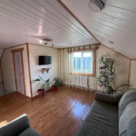 Apartment дідусева хатина Vorokhta